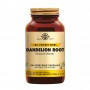 Solgar Dandelion (Paardenbloem) Root (100 capsules) van Solgar