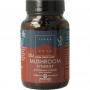 Terranova Mushroom synergy complex (50 capsules) van Terranova