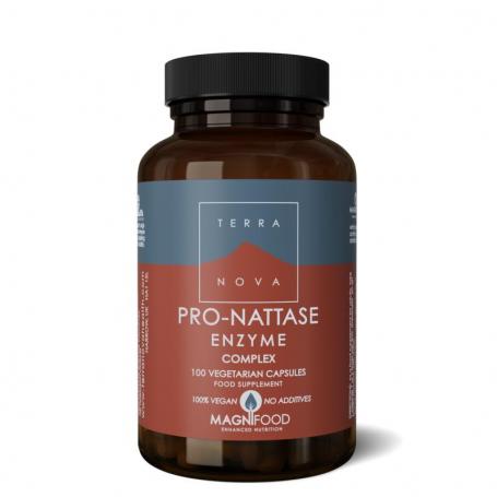 Terranova Pro-nattase enzyme complex (100 capsules) van Terranova