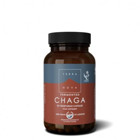 Terranova Fermented chaga (50 capsules) van Terranova