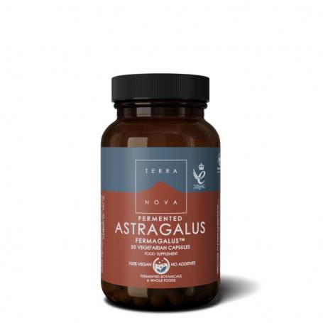 Terranova Fermented astragalus fermagalus (50 capsules) van Terranova