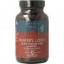 Terranova Bilberry lutein & astaxanthin complex (100 capsules) van Terranova