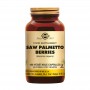 Solgar Saw Palmetto (Zaagpalm) Berries (100 capsules) van Solgar