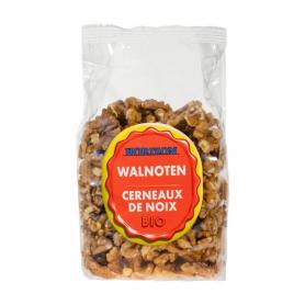 Mangoreepjes bio van Terrasana