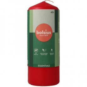 Vision bio van Shoti Maa