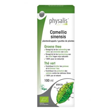 Camellia sinensis bio van Physalis
