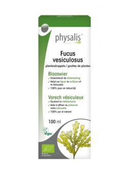 A Vogel Geriaforce doorbloeding tabletten (200st) van A Vogel