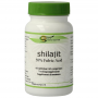 Surya Shilajit (60 tabletten) van Surya