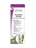 Equisetum arvense bio van Physalis