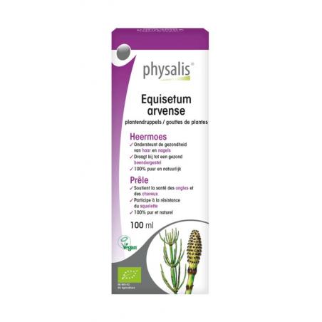 Equisetum arvense bio van Physalis