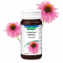 A Vogel Echinaforce (200 tabletten) van A Vogel