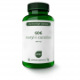 AOV 606 Acetyl-L-Carnitine (90 capsules) van AOV