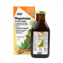 Salus Floradix magnesium (250ml) van Salus