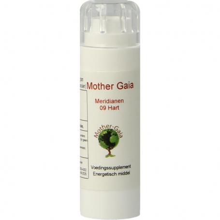 Meridiaan 09 hart van Mother Gaia
