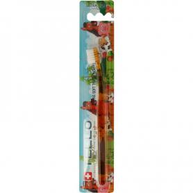 Shampoo colour + grijs van Evi Line