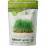 Wheat grass raw bio van Biotona